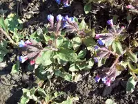 100_1213_800x600.webp