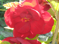 IMG_2218.webp