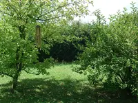 DSC01347.webp