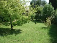 DSC01354.webp