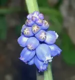 Winter 2009 814.webp
