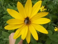 HPIM2803.webp