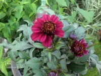 HPIM2804.webp