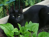R0011919.webp