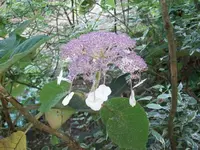 100_2090_600_450.webp
