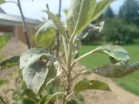 DSC00097.webp