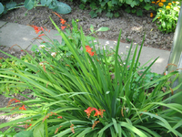 IMG_2249.webp
