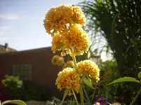 Garten2.webp
