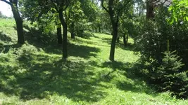IMG_7624.webp