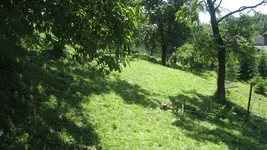IMG_7630.webp