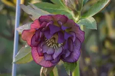 DSC04802.webp