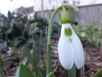 DSCF9136.webp