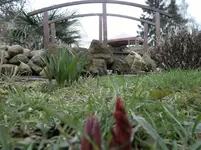 SAM_0769.webp