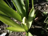 SAM_0771.webp