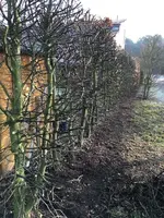 IMG_4362_Bildgröße ändern.JPG