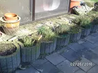 Kreauter.webp