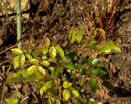 _MG_0098.webp