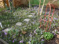 18.02.2016 (21).webp