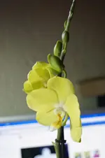 _DSC0040.webp
