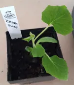 20160228_170912.webp