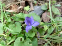 CIMG1793.webp