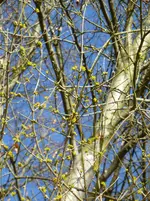 P1080640.webp
