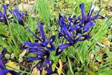 DSCF5352 (2).webp