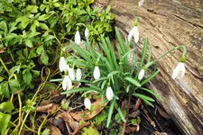 DSCF5351 (2).webp