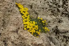 DSCF5386.webp