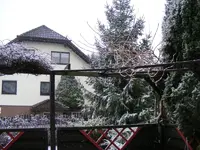 Schneefall 29.02.2016.webp