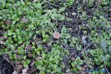 comp_DSC04703.webp