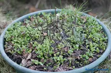 comp_DSC04704.webp