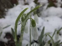 DSCF9053.webp