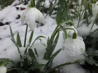 DSCF9086.webp