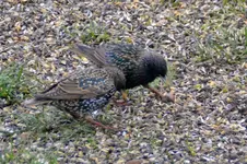 DSC_0589.webp