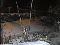 DSCF9093.webp
