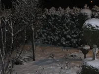 DSCF9095.webp