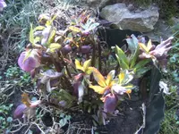 BILD4853.webp