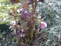 BILD4854.webp
