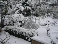 DSCN0109.webp