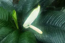 DSCF5363 (2).webp