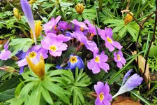 DSCF5354 (2).webp