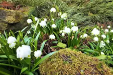 DSCF5371 (2).webp
