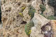 DSCF5385 (2).webp