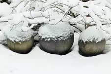 DSCF5396 (2).webp
