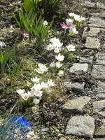 DSCN0091.webp