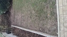 20160301_121038.webp