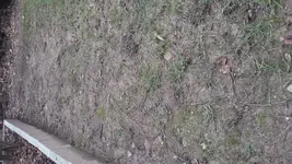 20160301_121110.webp