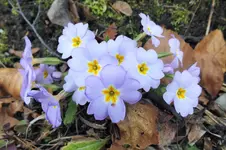 DSCF5374 (2).webp
