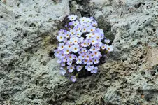 DSCF5384 (3).webp
